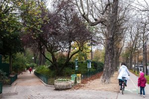 Boulevard de Beauséjour II