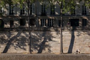 Boulevard Saint-Germain II