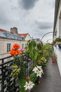 Rue de Saintonge