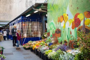 Rue des Tournelles